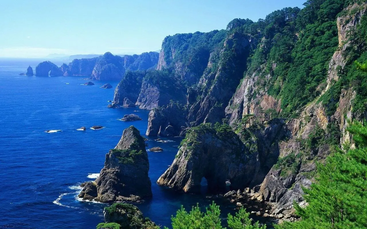 全自动高效智能化